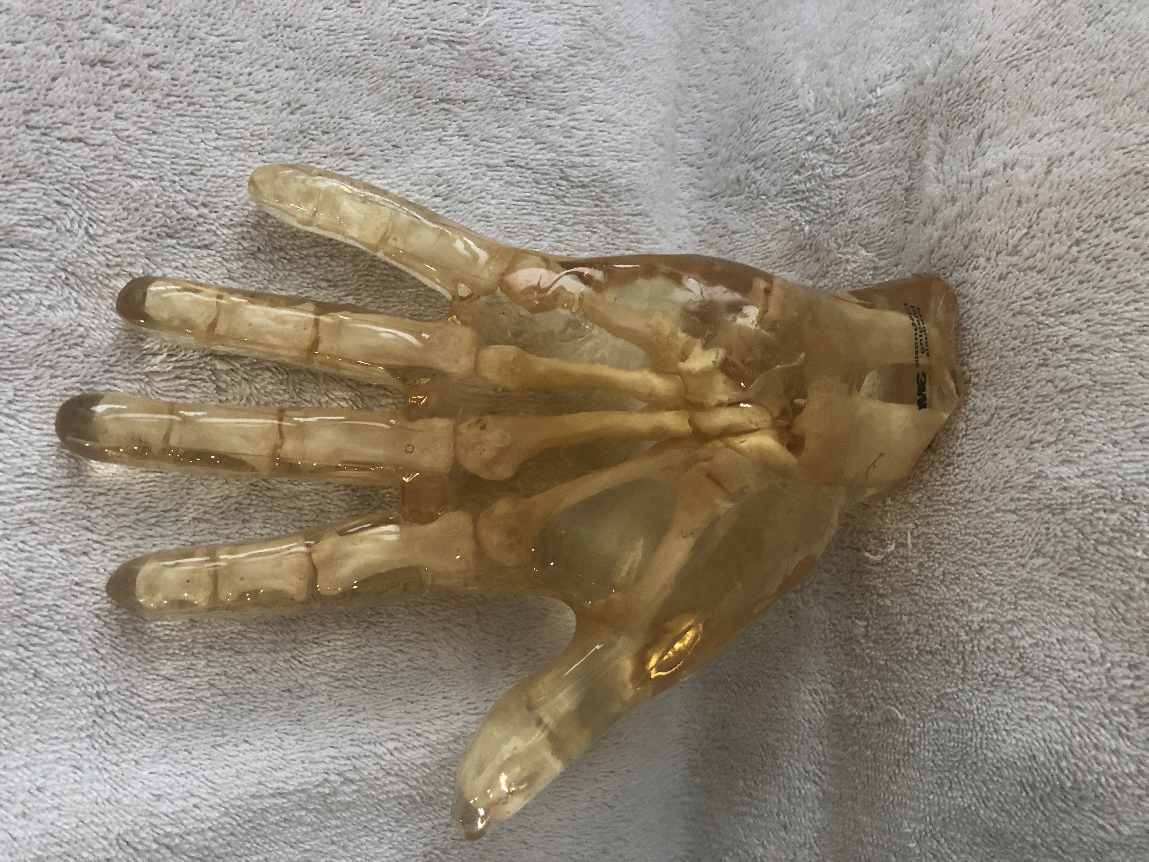 Phantom - Human Hand